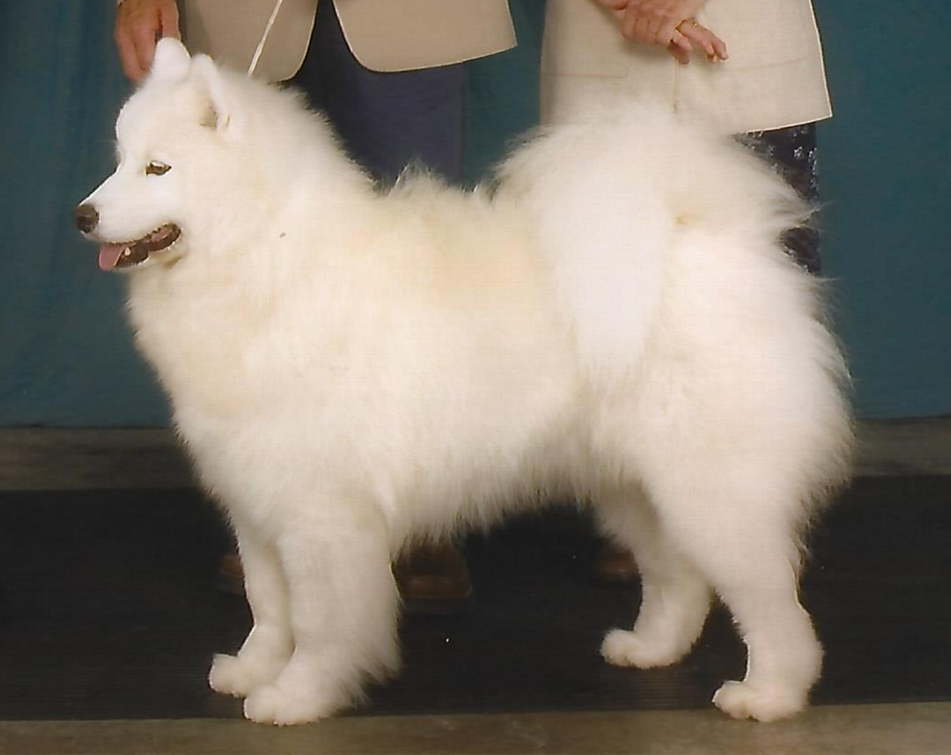 CH ETOILPOLAIRE COVA TROïKA DANCE